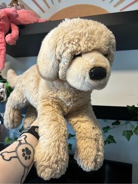 MATTED Douglas golden retriever
